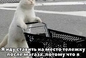 Скрины из соцсетей            