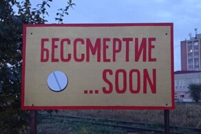 «Бессмертие... soon»: в Благовещенске установили странный памятник и разозлили общественность