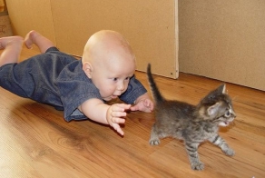 Больше, чем просто фотография. Часть 14. (50 фото)