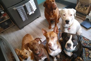 Утро задалось