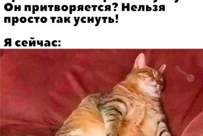 Скрины из соцсетей            