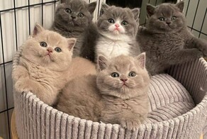 Утро задалось