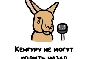 А вдруг ты не знал…