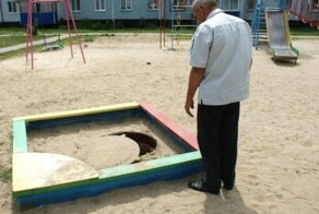 Так много вопросов