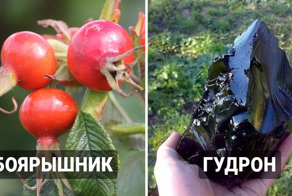 Деликатесы, которыми были не прочь полакомиться дети в СССР