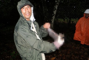 Страшные твари в Перу (13 фото)