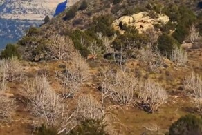 Вот, что значит действительно мощный зум