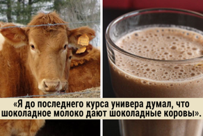 30  фактов, которые люди узнали уже в зрелом возрасте