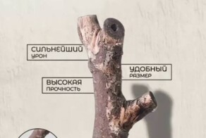 Как с помощью обычной палки можно сделать неплохой бизнес