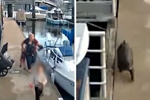 В США выдра пыталась утопить ребёнка