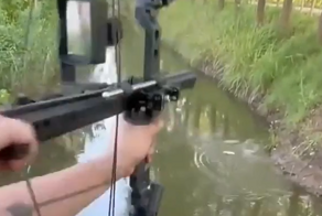 Стрельба из современного лука