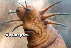 Скрины из соцсетей            
