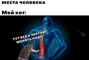 Всё вразнобой 