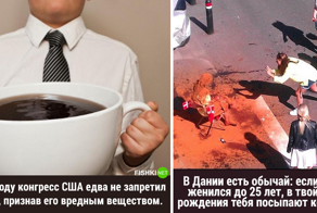 25 случайных фактов: почему не стоит доверять самке суриката и другие важные открытия