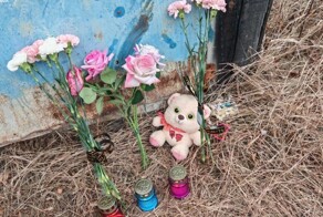Школьница скончалась в больнице после нападения стаи собак в Якутии