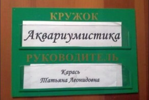 Отдельный жанр