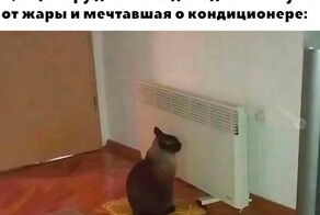 Скрины из соцсетей            