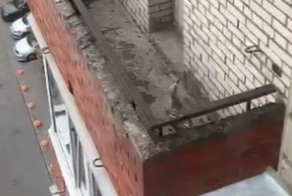 Спасение чайки, ставшей заложницей балкона