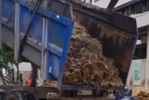 "Ароматный" протест: французские фермеры вновь протестуют и вываливают навоз перед мэриями городов
