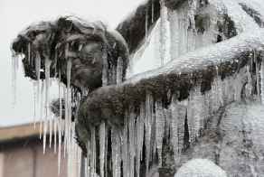 В преддверии зимы (22 фото)