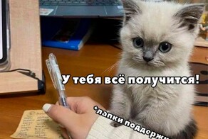 Не ищите здесь смысл. Здесь в основном маразм
