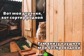 Пост про музыку