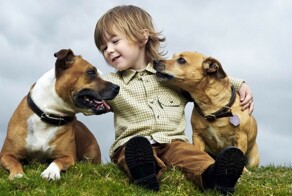 Ветеринар назвал пять пород собак, которые идеально подходят для семей с детьми