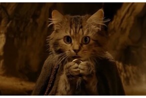 Кошачьи версии «Властелина колец» и «Гарри Поттера»