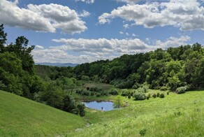 Всё вразнобой 