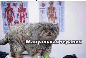 Не ищите здесь смысл. Здесь в основном маразм