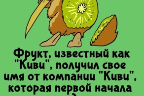 А вдруг ты не знал…