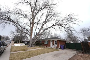 Жуткие находки в доме владельца похоронного бизнеса удивили следователей