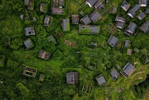 Никто больше не живет: плющ и трава полностью "оккупировали" когда-то многолюдное село