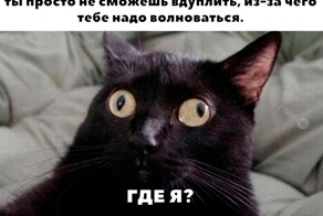 Не ищите здесь смысл. Здесь в основном маразм