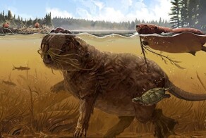 Гигантский бобр