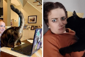 16 наглых котиков, которые закрепили за собой звание главных хулиганов дома