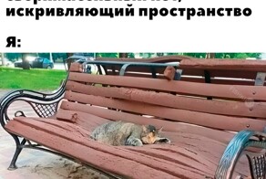 Всё вразнобой 