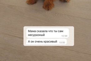 "Пукает, аж голова болит": парень показал, как его папа трогательно рассказывает о буднях своего пёсика