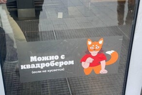 Это потенциальная угроза: в российских школах начали рассказывать о вреде квадробинга