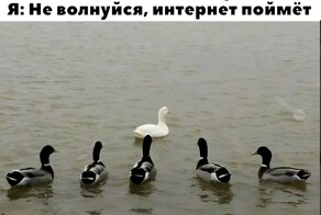 Скрины из соцсетей            