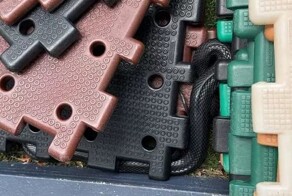 В Австралии в детском саду поймали ядовитую змею