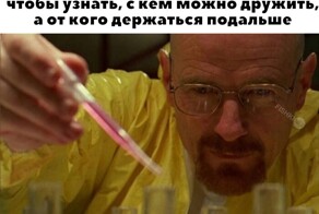 Скрины из соцсетей            