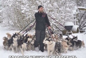 Сколько можно заработать на выгуле собак: одна из самых простых зоо-работ
