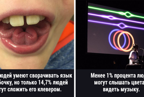 35 фактов о человеческом теле, которые подскажут, насколько вы уникальны