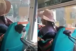 Шерстяной шалун в общественном транспорте