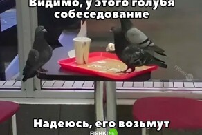 Скрины из соцсетей            