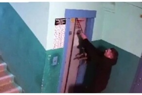В Уфе мужчина спас собаку, которую чуть не задушило поводком