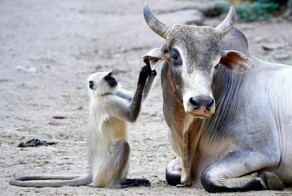 На общую тему&nbsp;