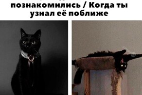 Скрины из соцсетей            