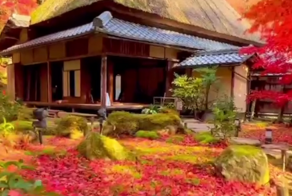 Яркие краски осени около буддийского храма